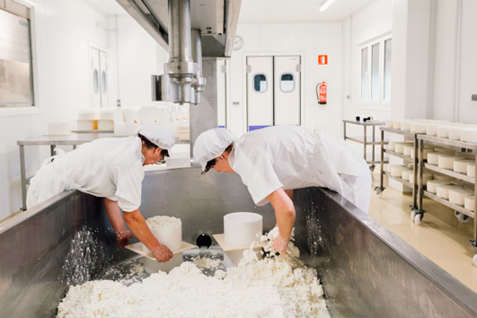 Elaboración del queso gamonéu