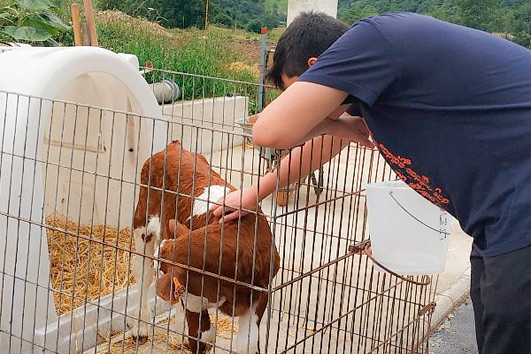 Experiencias interactuando con animales