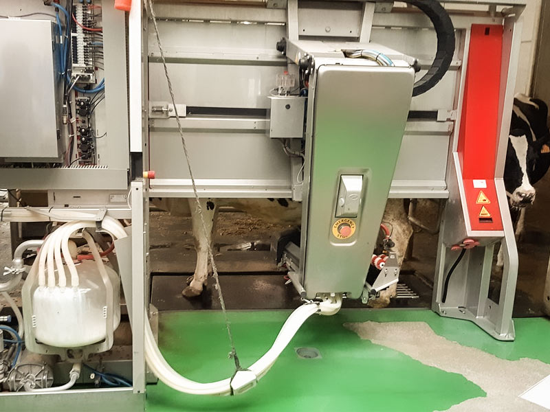 en la visita guiada veremos las últimas tecnologías en la elaboración de queso